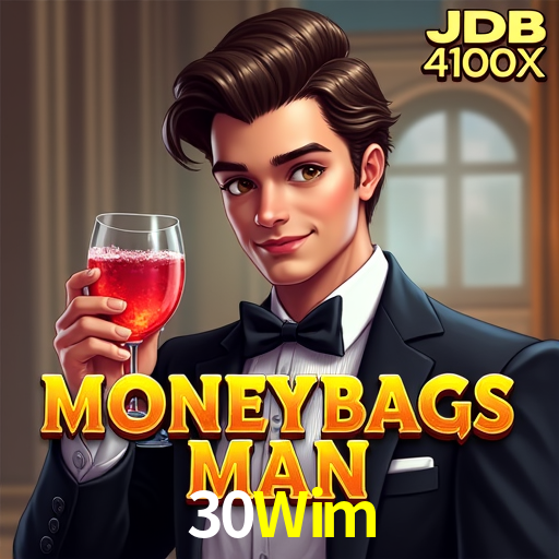 Security Systems 30Wim